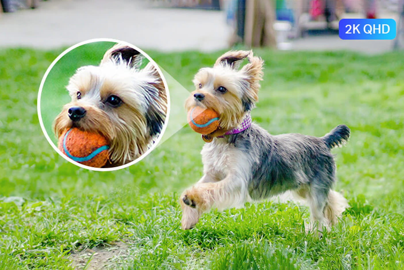 3842347-Tile-1-2K-QHD