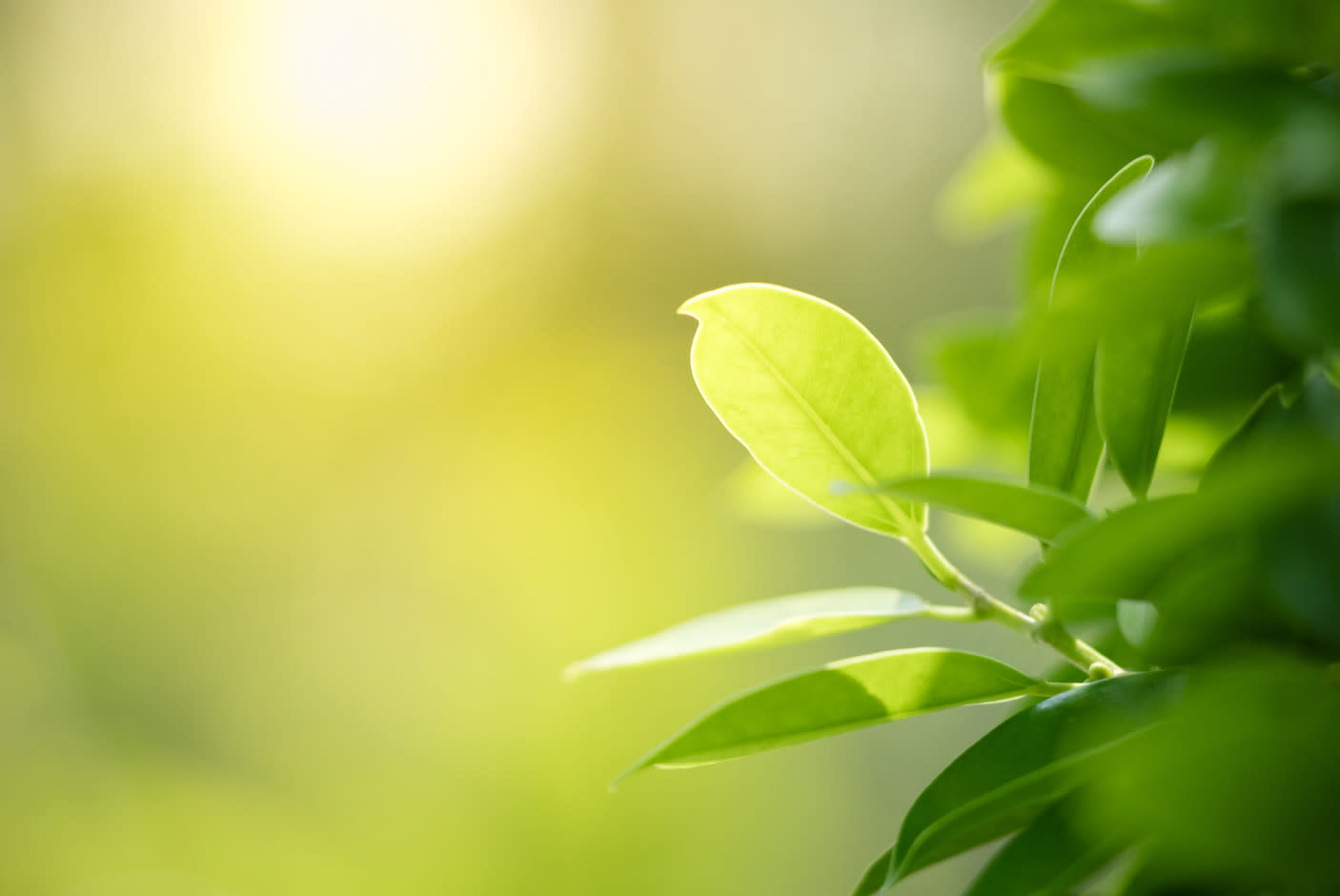 3865258_TILE3_dcd9c9