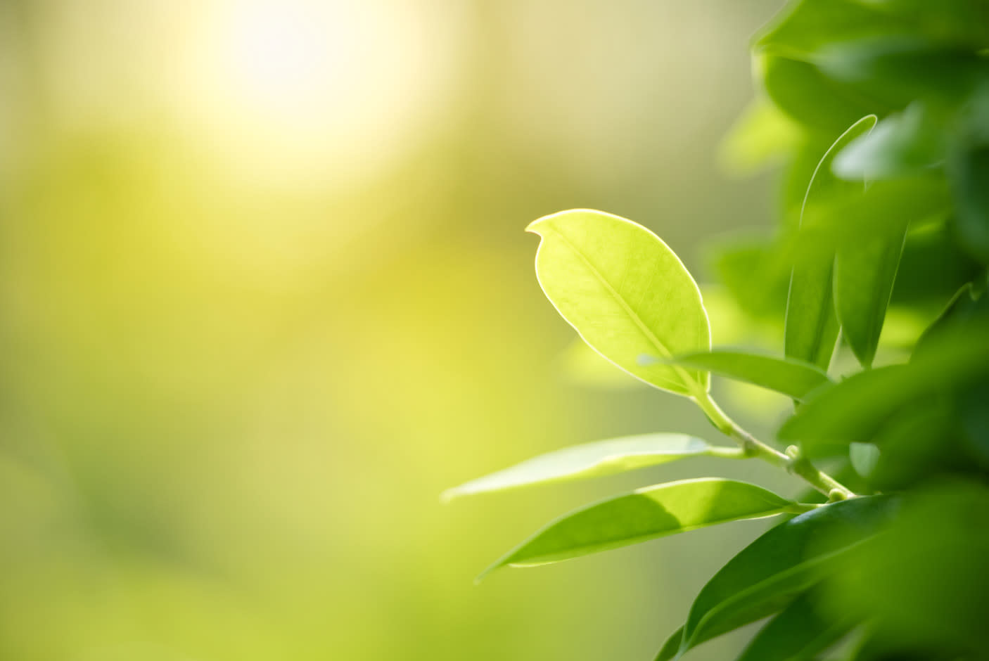 3865282_TILE4_e1dec2