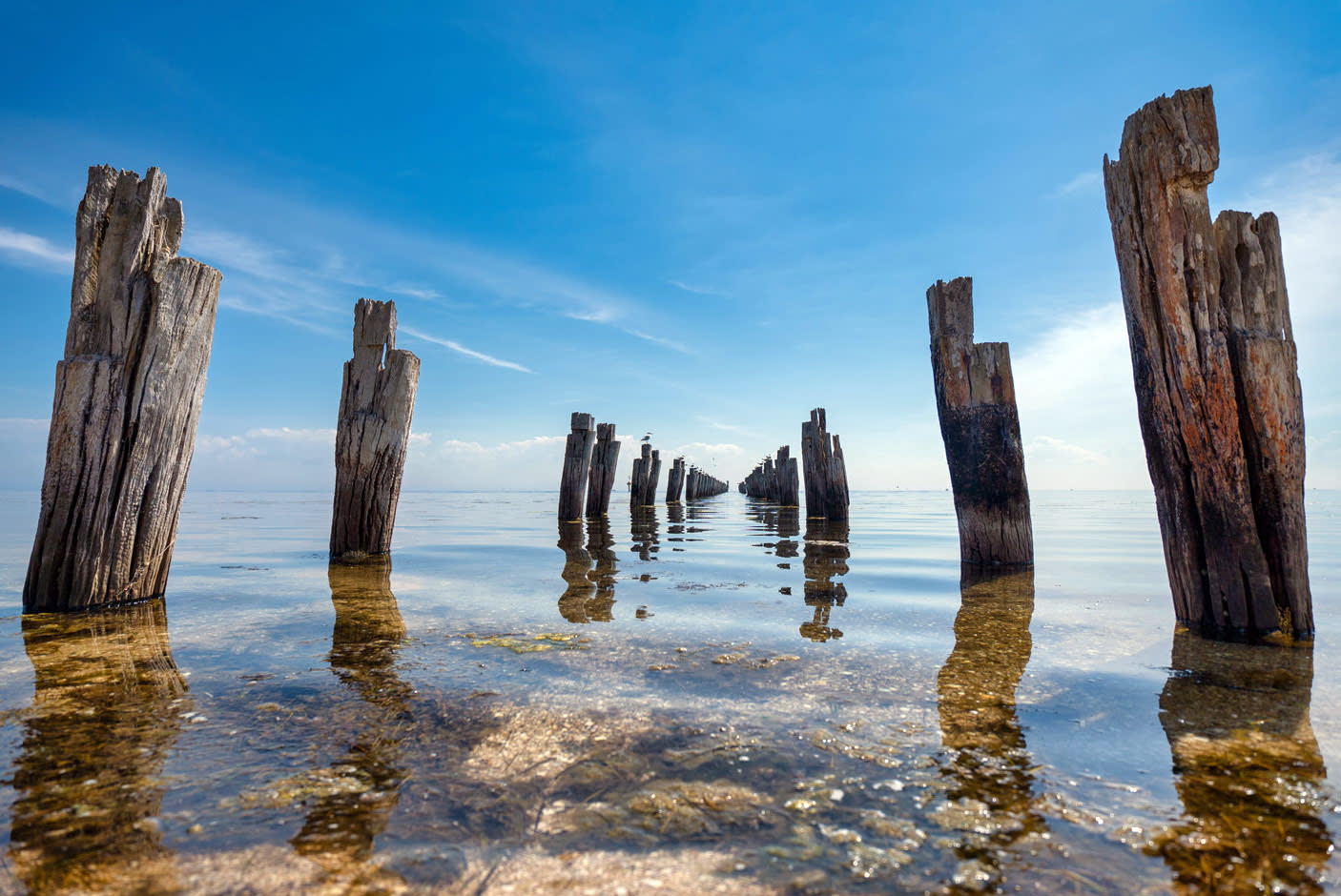 3912841-Tile-1-Wide-Angle-Macro