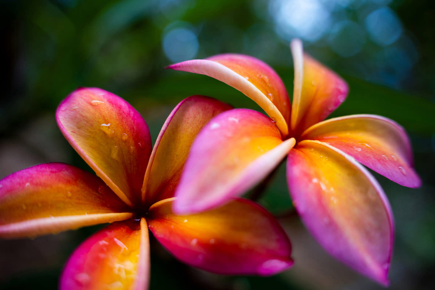 3913422-Tile-3-MOD18cm