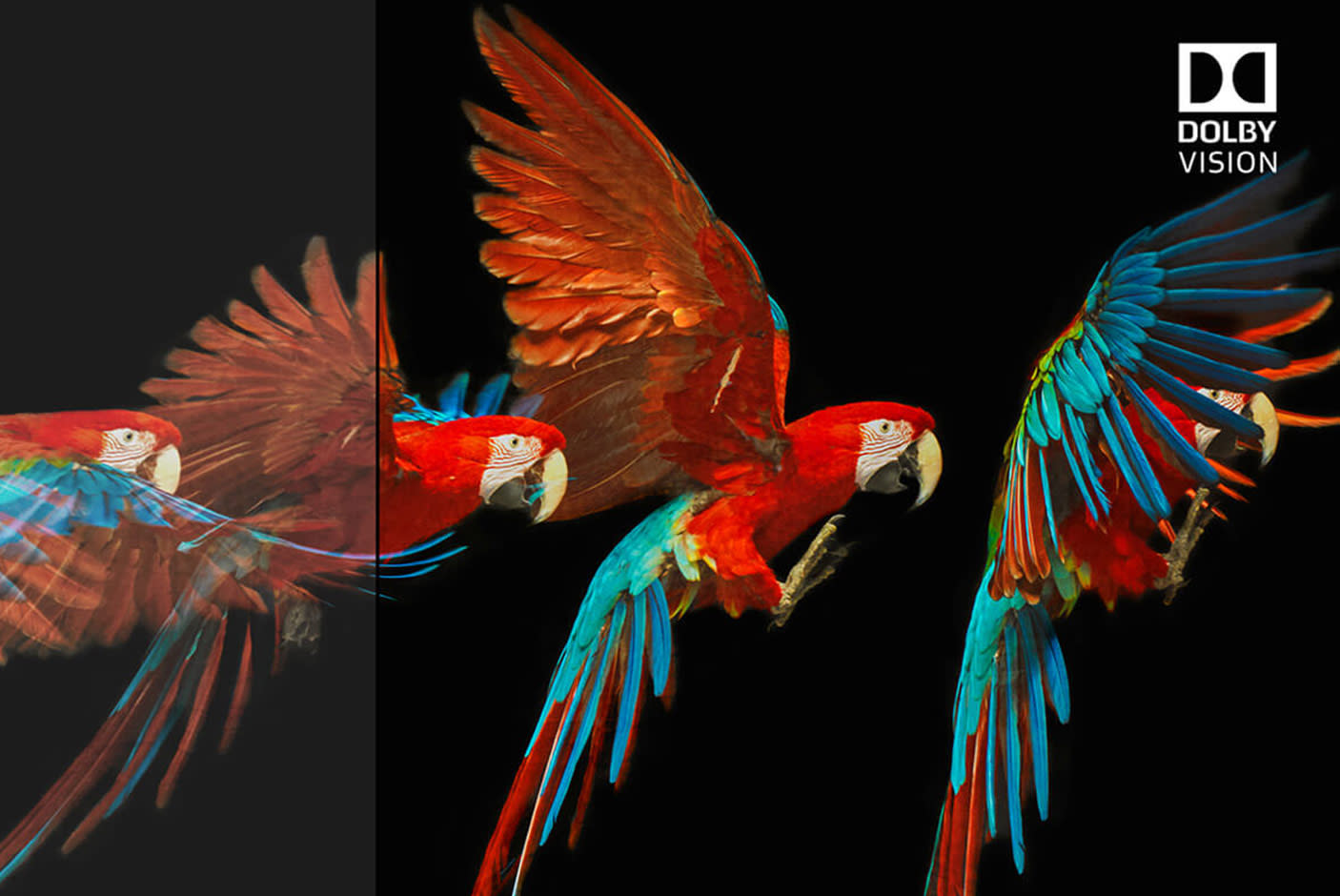 3919242-Tile-1-Future-Entertainment