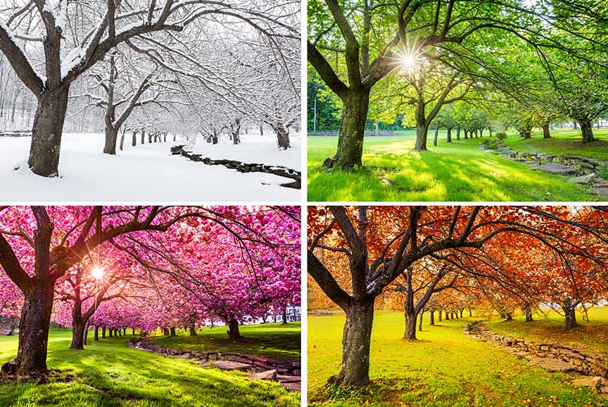 3970809_TILE3_789801