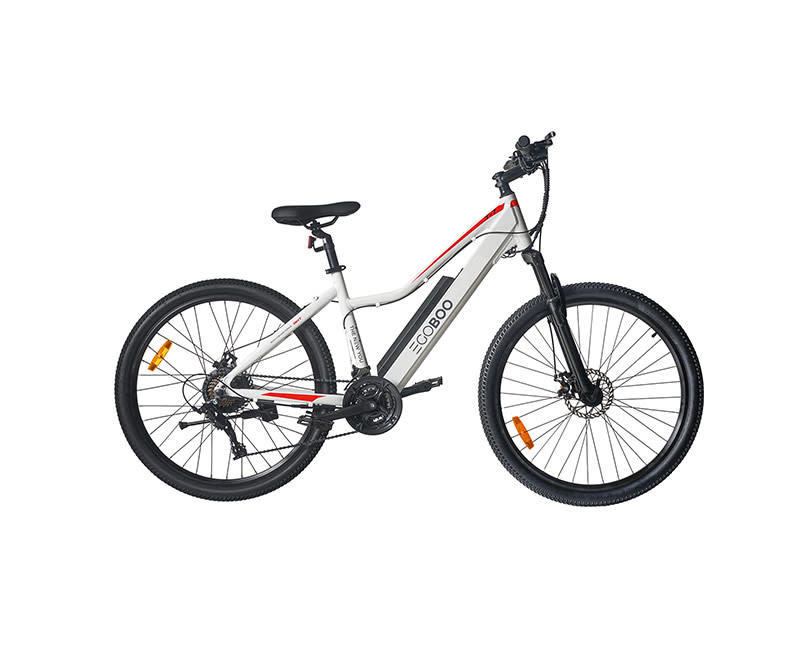 EGOBOO E-Bike E-Mount T7 White