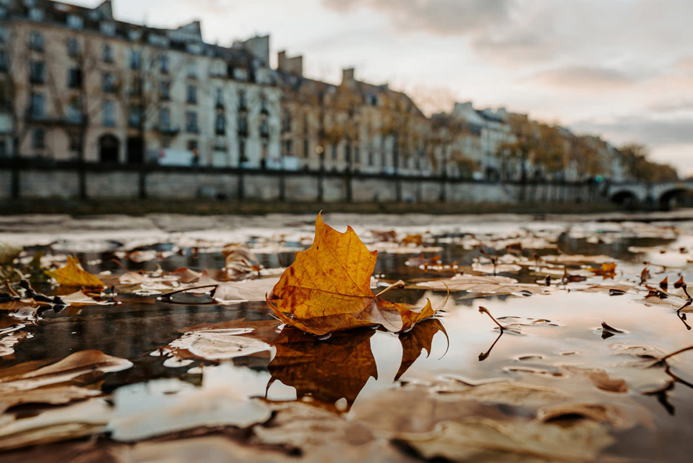 4023730-Tile-3-Mirrorless-Oriented