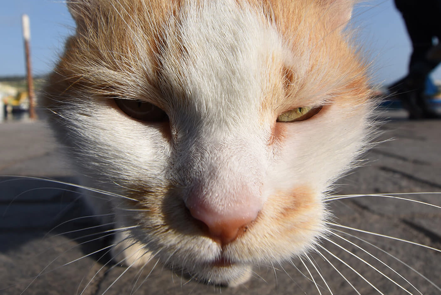 4035542-Tile-2-Nikon-VR