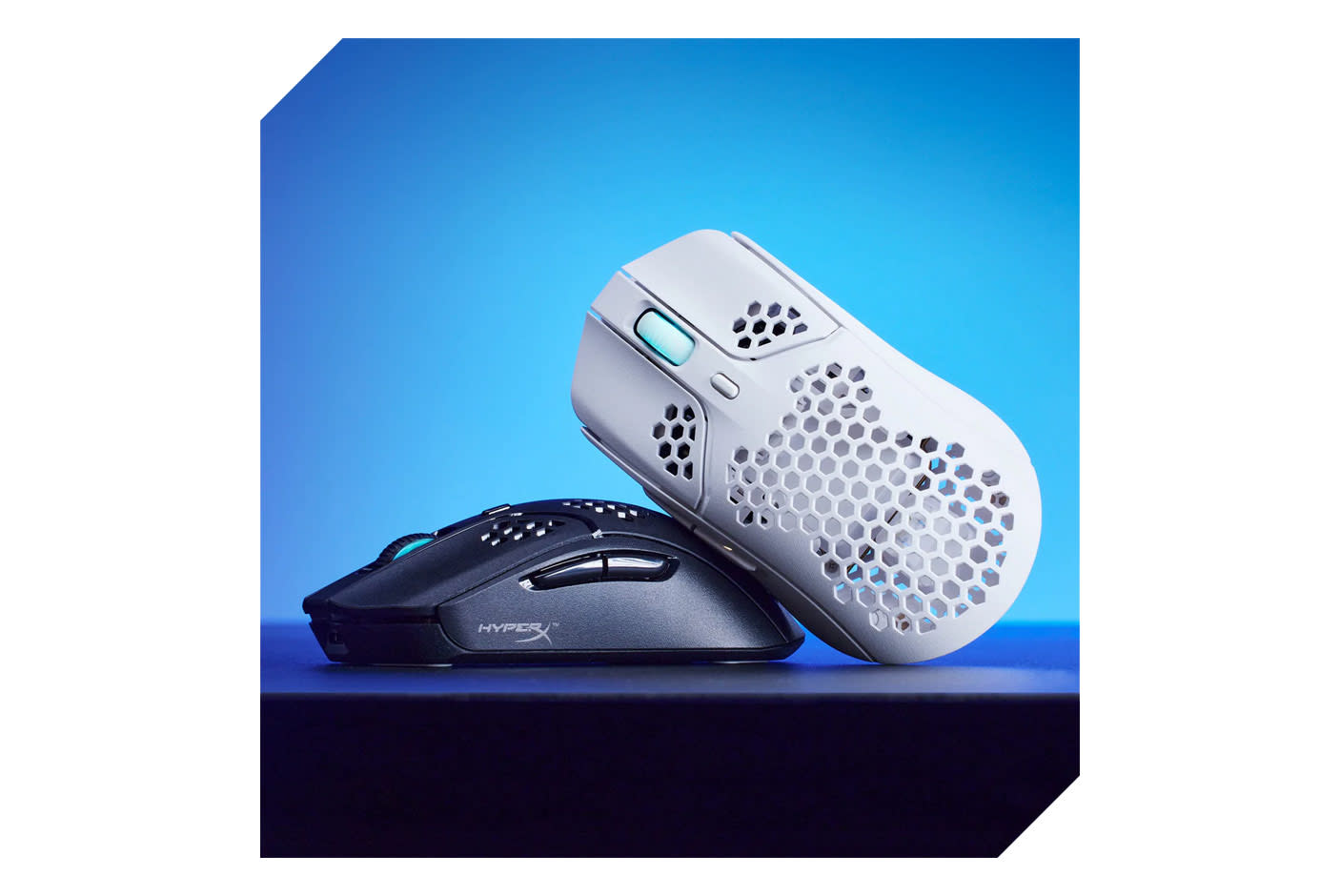 4041348-Tile-2-Hexagon-Shell