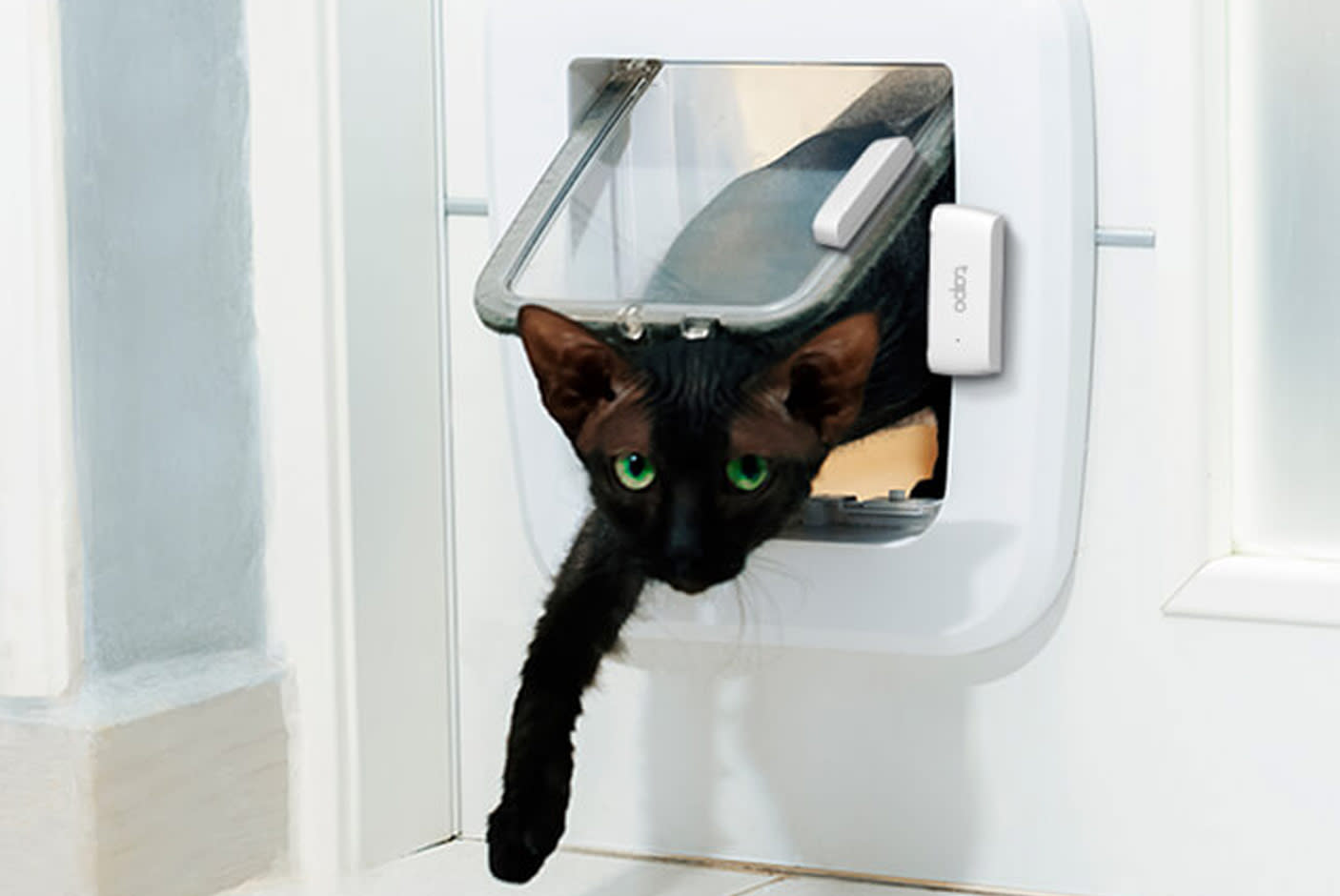 4082192-Tile-3-Beyond-Doors-Windows