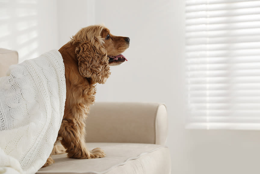 4082672_TILE3_141414