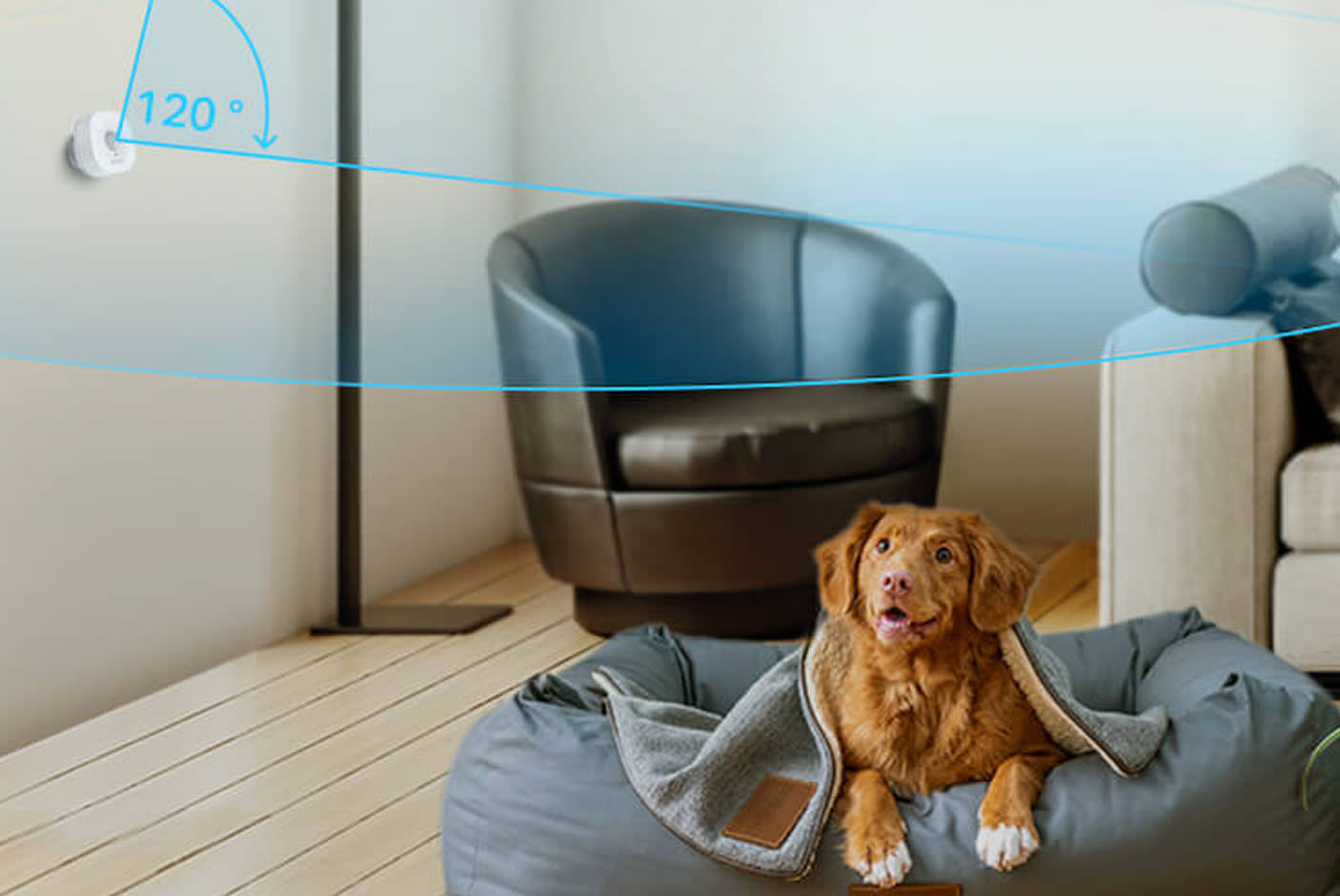 4087984-Tile-5-Sensor-Field