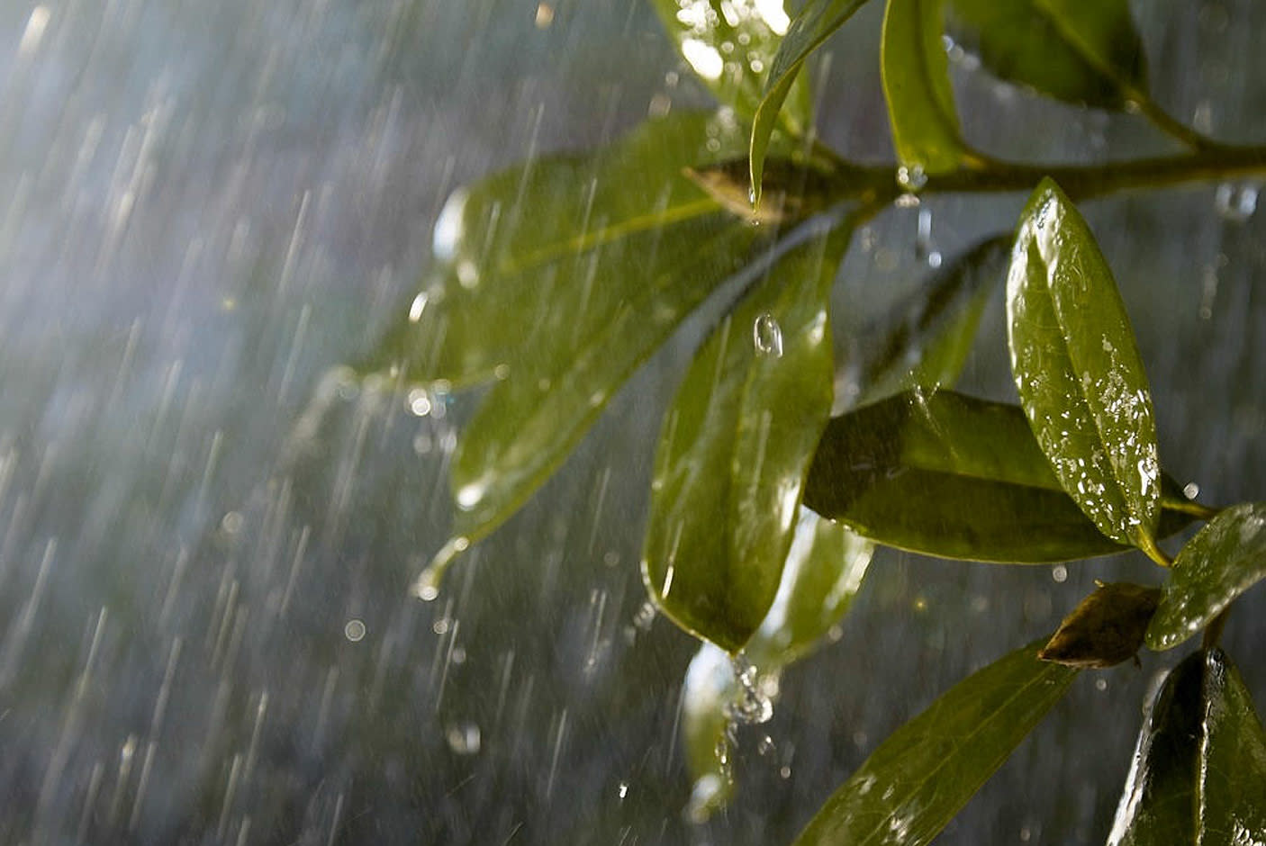 4101448-Tile-5-Philips-Hue-Lucca-quality