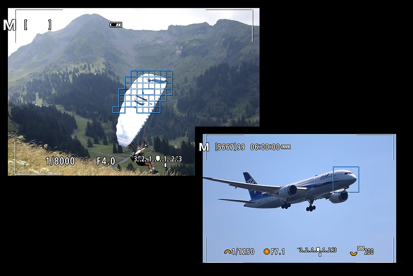 4119525-Tile-3-Canon-EOS-R6-Mark2