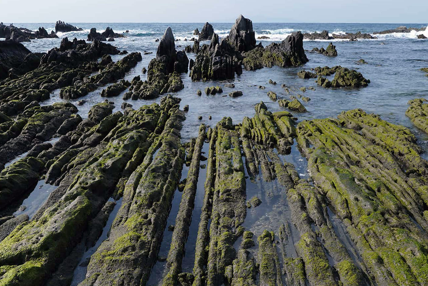 4128516-Tile-1-Full-ED