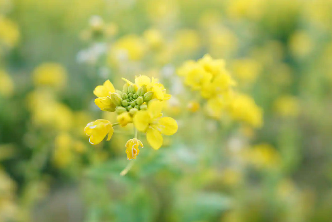 4128516-Tile-2-Aperture-1_4