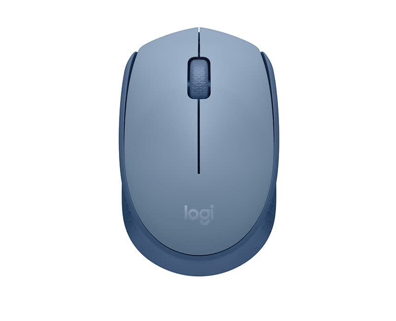 Logitech M171