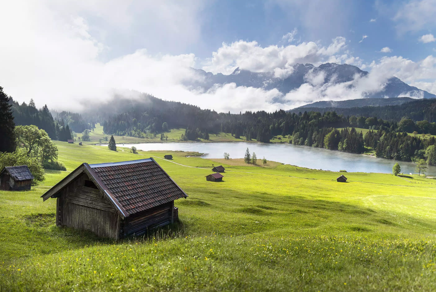 4132998-Tile-1-Versatile-Lens