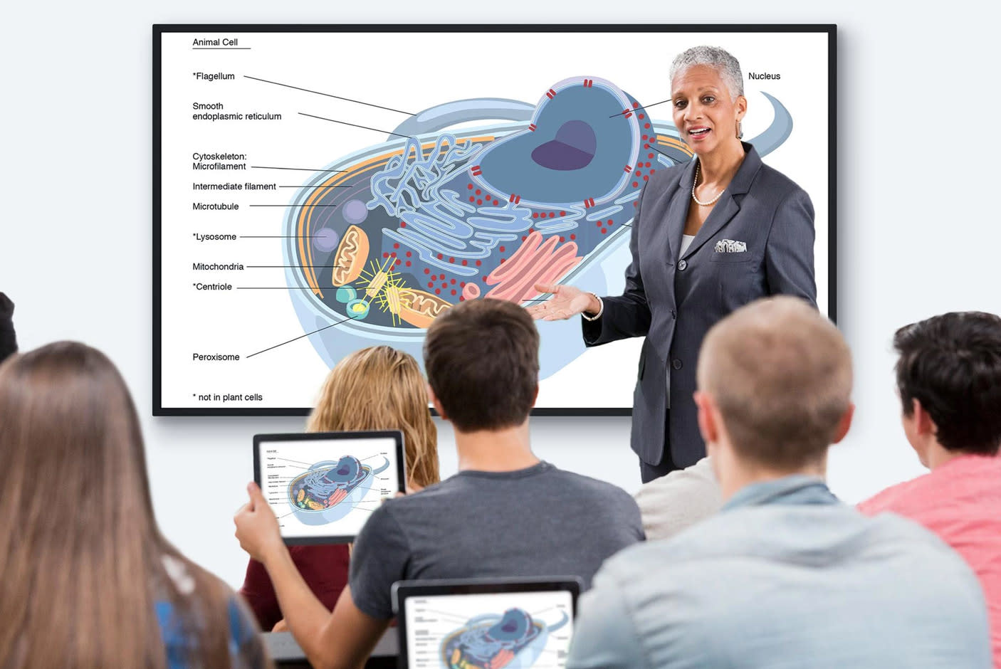 4137485-Tile-2-Wireless-Content-Sharing