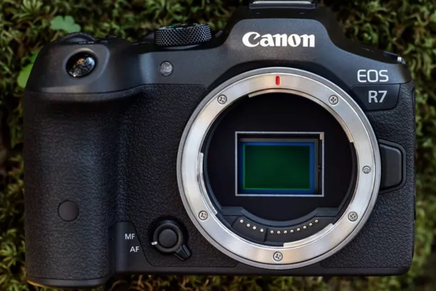 4141768-Tile-6-EOS-R7-aps-c