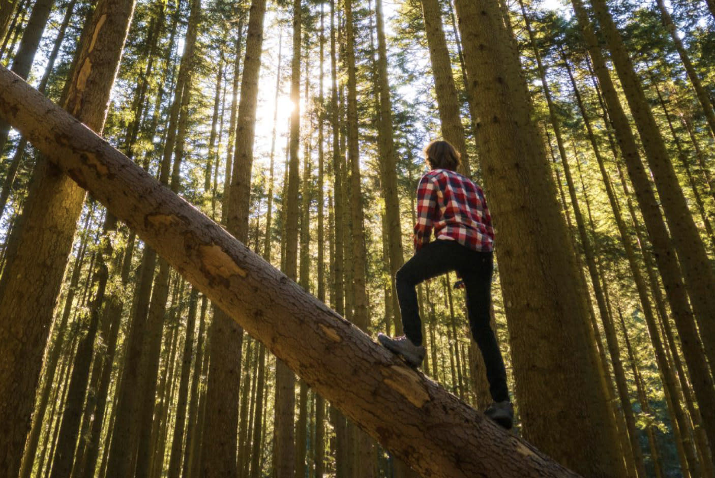 4055489-Tile-2-Great-Image-Quality