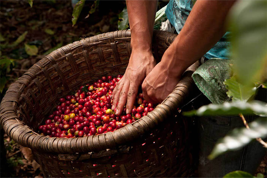 4144570_TILE4_15140c