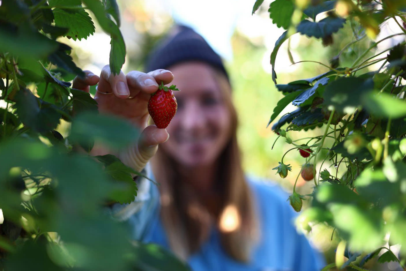 4182545-Tile-4-Canon-EOS-R8