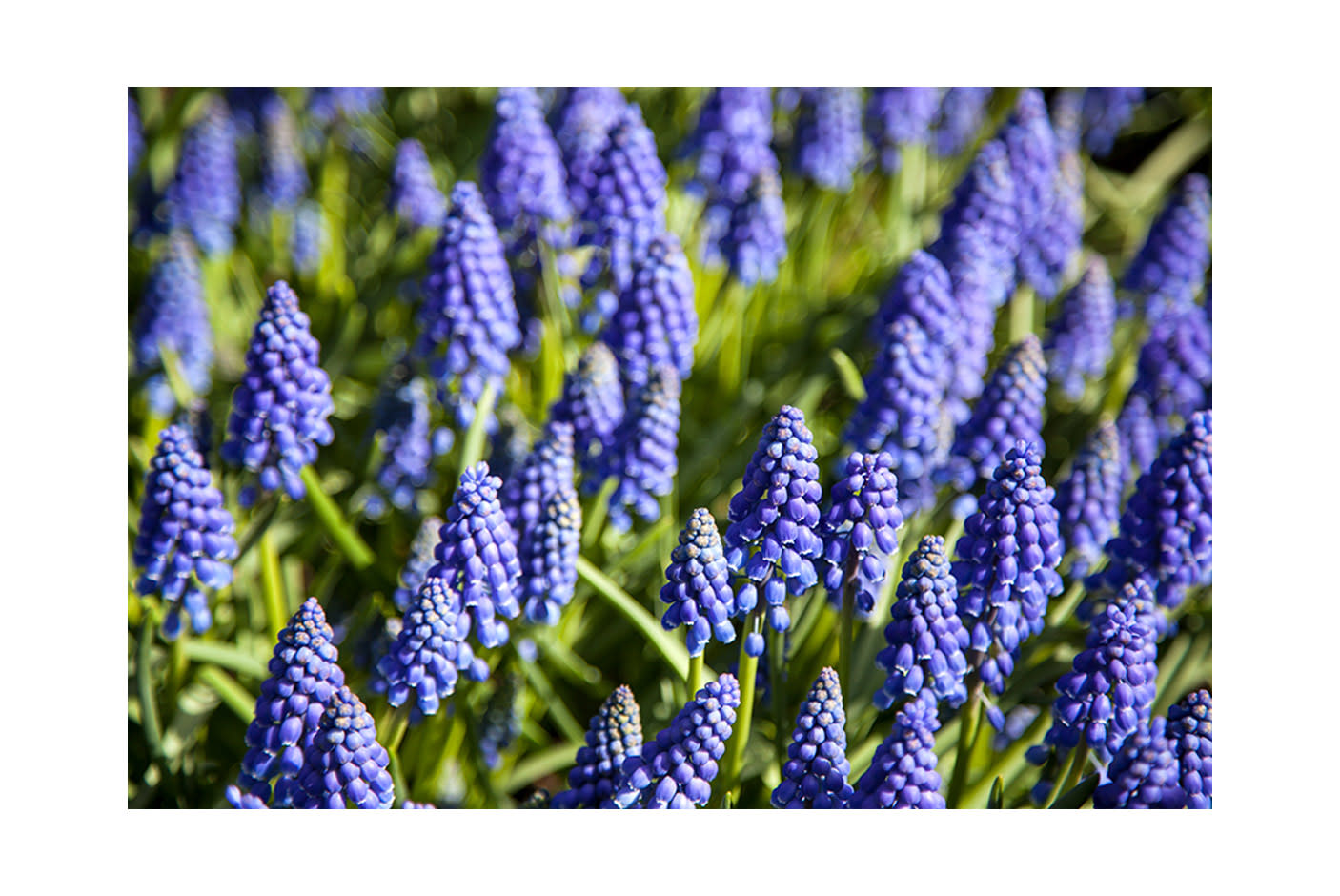 4190173-Tile-1-More-Color-In-Your-Life