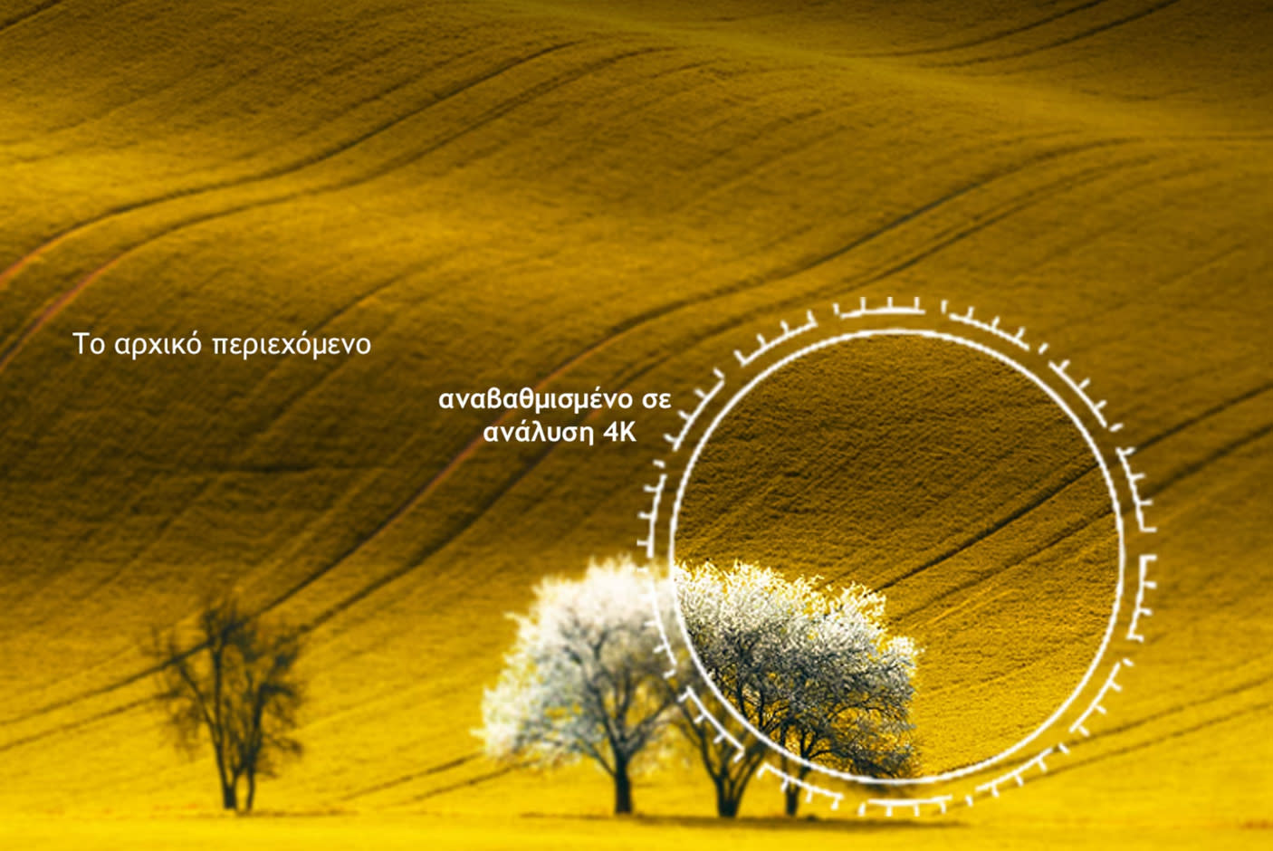 4211227-Tile-3-4K-Upscaling