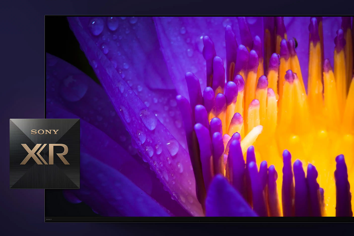 4240138-Tile-3-SONY-A80L