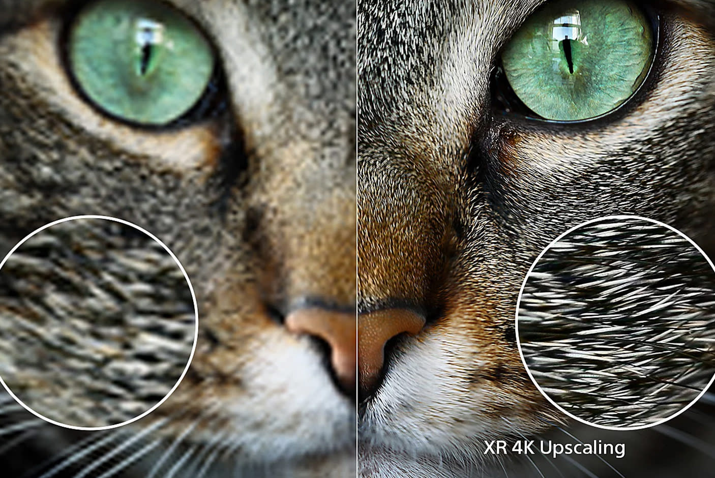 4240138-Tile-6-SONY-A80L