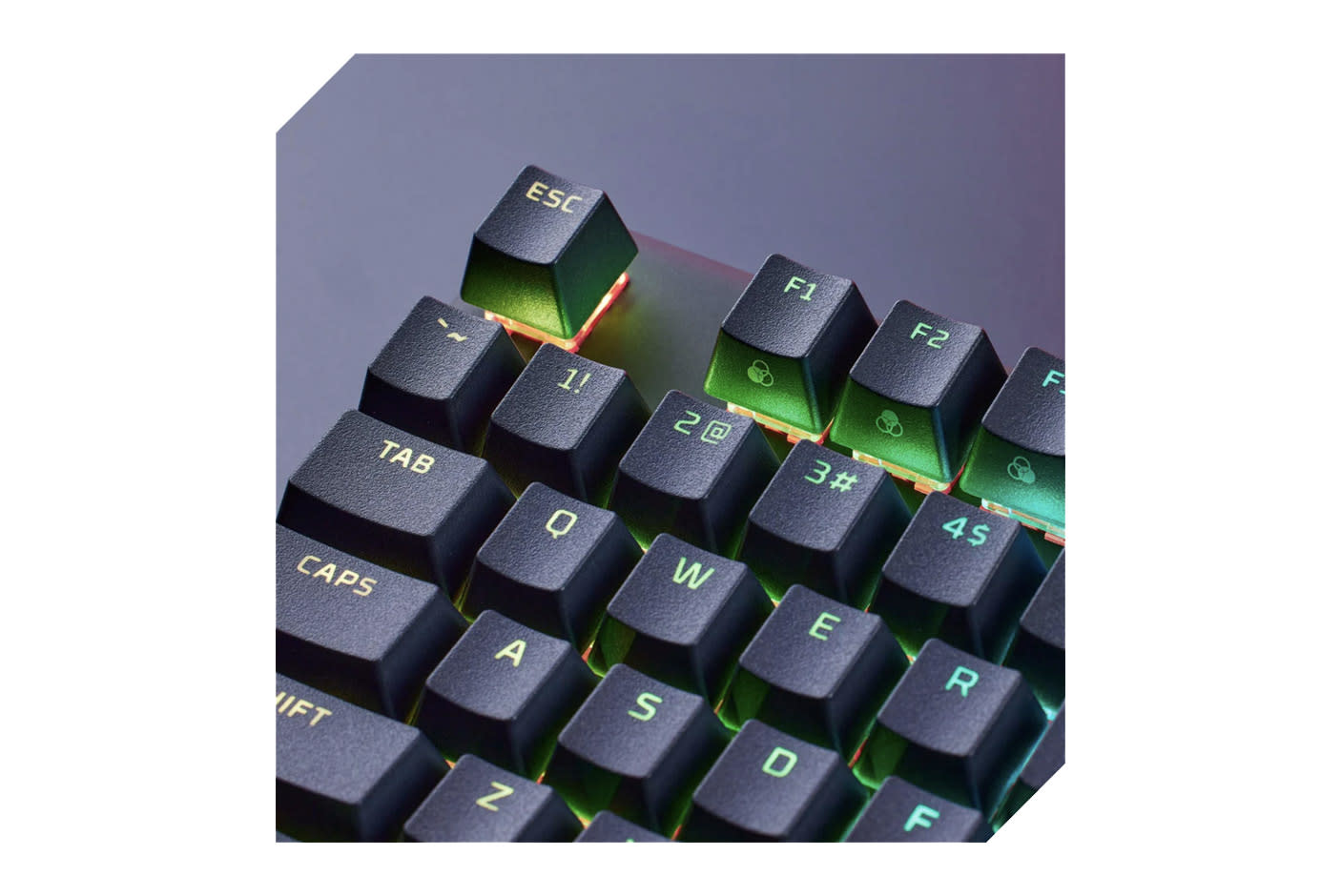 4264649-Tile-1-PBT-Keycaps