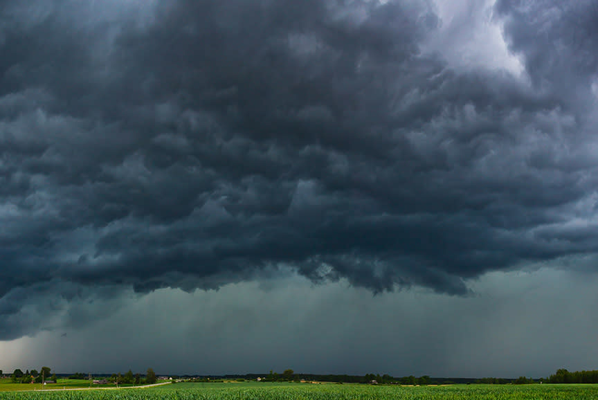 4295749_TILE6_192c3b