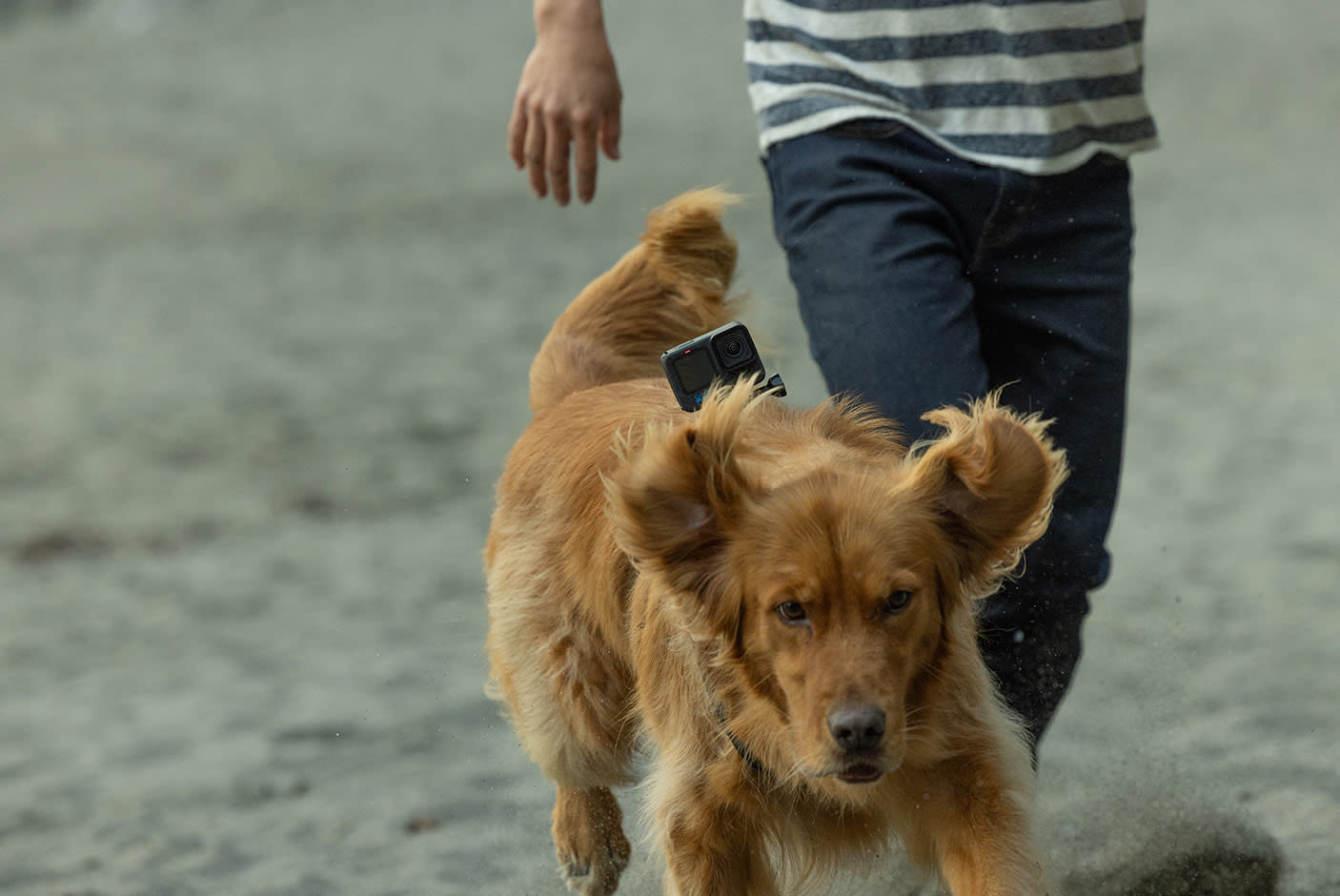 4312805-Tile-5-Gopro-Hero12-black-fov