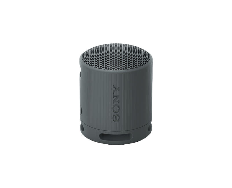 Sony SRS-XB100