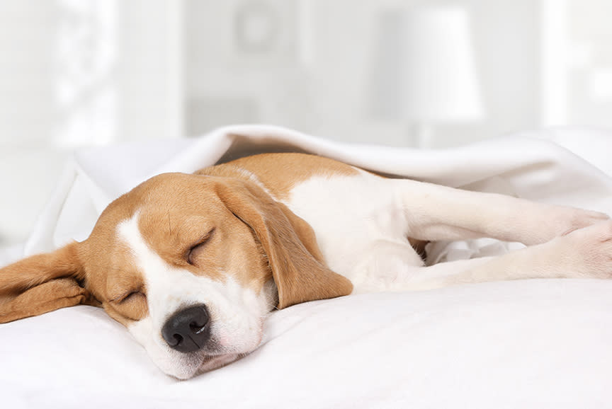 4324285_TILE3_d9d8d6