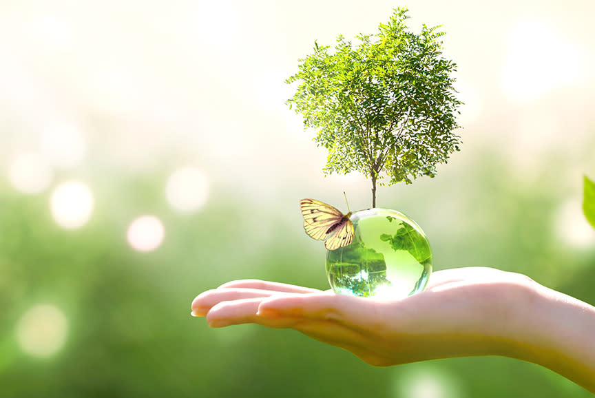 4324307_TILE3_496e1f