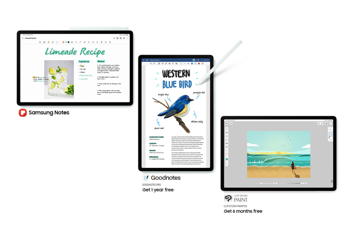 4326288-Tile-7-Elevate-Your-Creativity