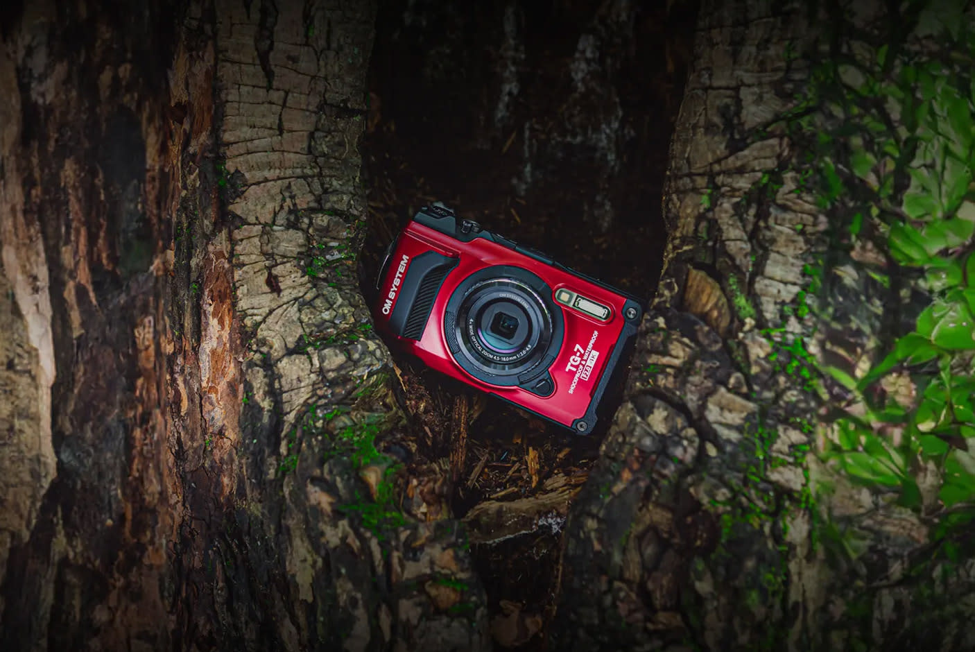 4329805-Tile-1-Tough-Design