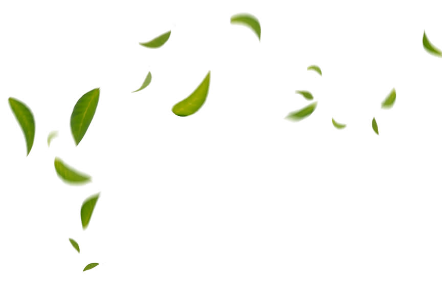 4347951_TILE4_809900