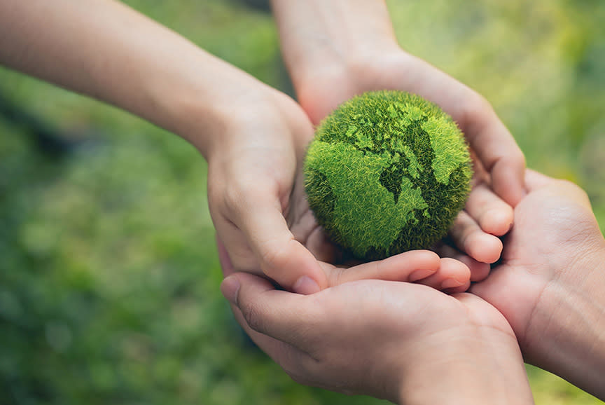 4350812_TILE4_2b4424