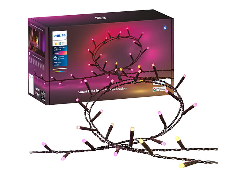 Philips Hue Festavia string light 250LED