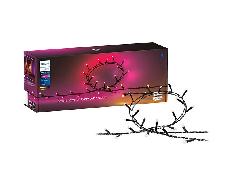 Philips Hue Festavia string light 250LED