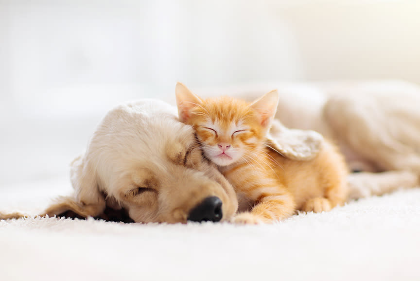 4356438_TILE3_ba9069