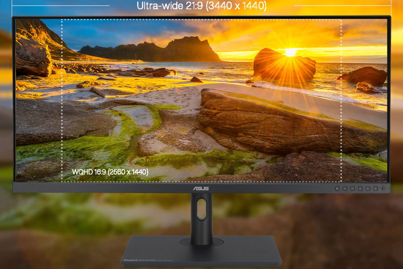 4411749-Tile-2-ASUS-ProArt-PA348CGV