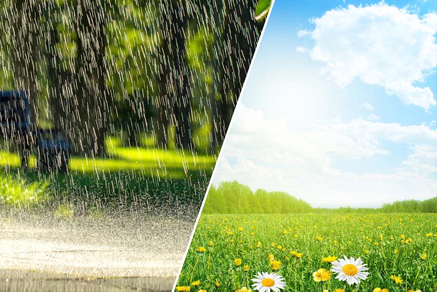 4413571_TILE1_c0b991