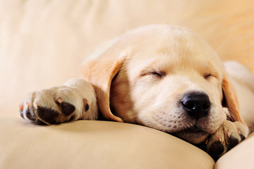 4413571_TILE2_ca9d6e