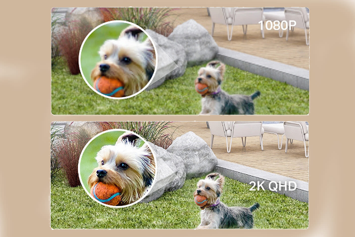 4415256-Tile-1-Tapo-C420