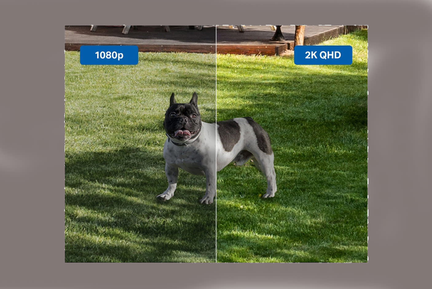 4415264-Tile-1-Tapo-C425