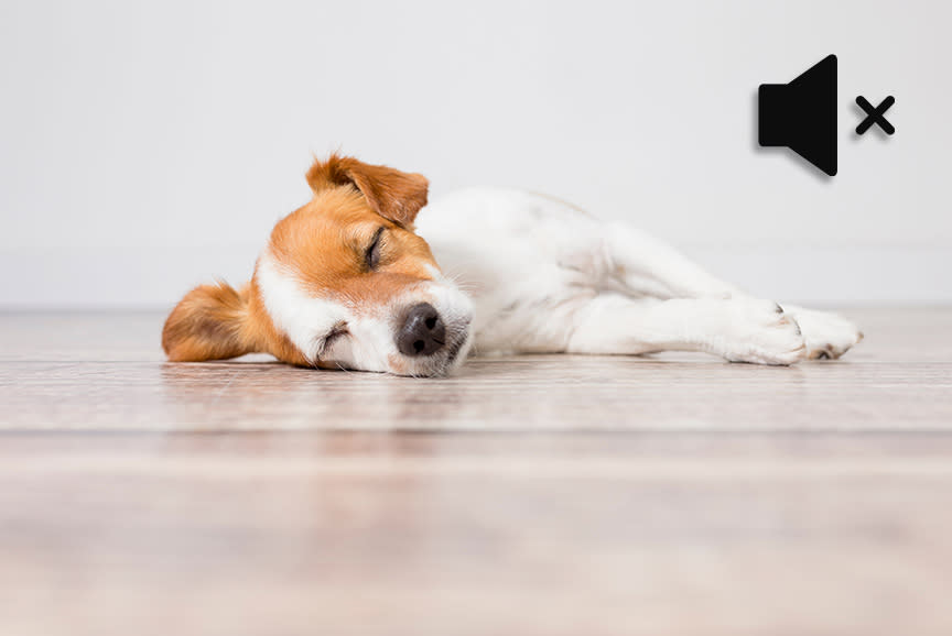 4415809_TILE2_d9c6bf