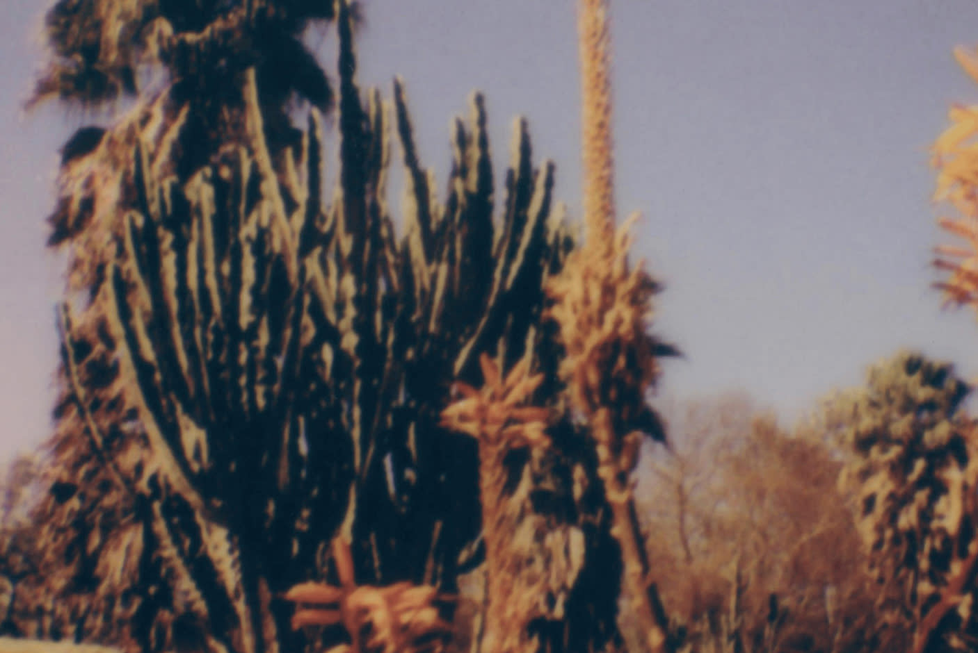 4418506-Tile-1-Polaroid-go-gen2-camera