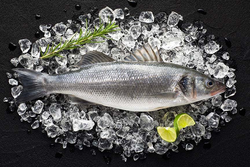 4419944_TILE1_1f1b1a